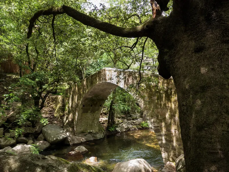 Pont Genois Gorges Spelunca Corse Transhumance